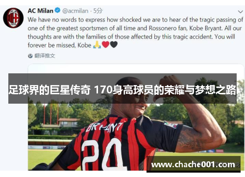 足球界的巨星传奇 170身高球员的荣耀与梦想之路