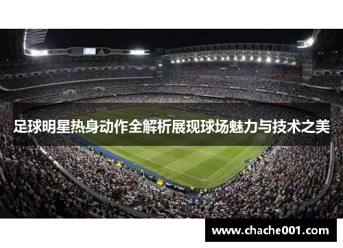 足球明星热身动作全解析展现球场魅力与技术之美